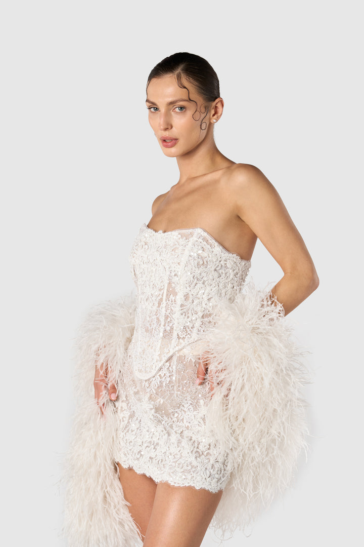 "Twilight Hour" Lace Corset & Skirt